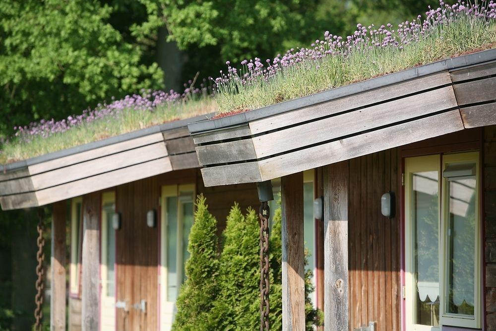 Landhotel Diever Bagian luar foto